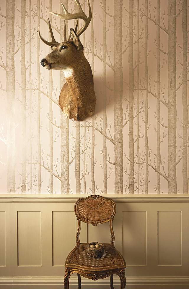 Deer head wall mounted chair free wallpaper for mobile - medium preview image