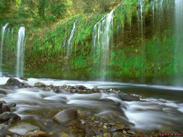 Waterfall rocks green plants stream free wallpaper for desktop - medium preview image