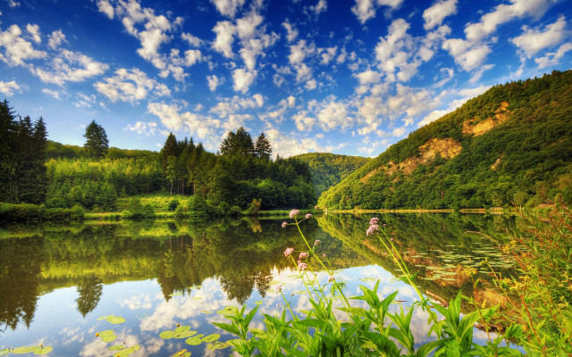 Lake green trees mountains clouds free wallpaper for desktop - medium preview image