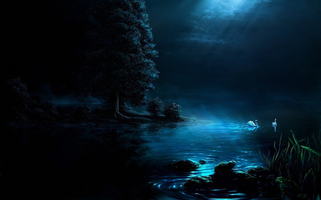 Man boat river night full free wallpaper for desktop - medium preview image