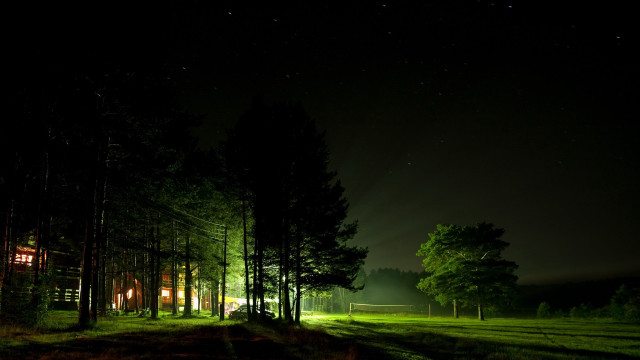 Dark forest house trees nighttime free wallpaper for desktop - medium preview image