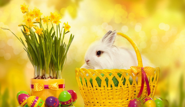 White rabbit basket eggs flowers free wallpaper for desktop - medium preview image