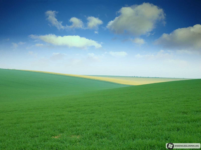 Green field blue sky clouds #34 free wallpaper for desktop - medium preview image
