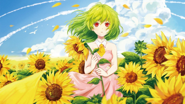 Girl field sunflowers blue sky free wallpaper for desktop - medium preview image