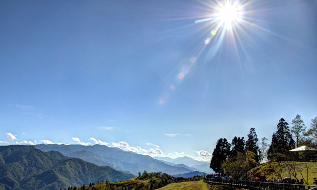 Sunny mountain lake forest bush free wallpaper for desktop - medium preview image