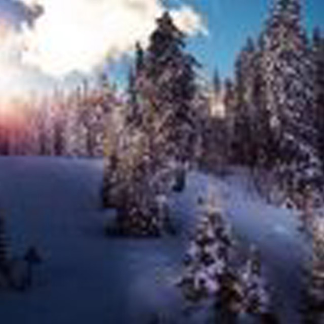 Snow covered forest sky clouds free wallpaper for tablet - medium preview image
