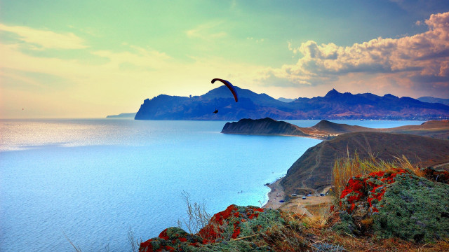 Bird flying water mountains beach free wallpaper for desktop - medium preview image