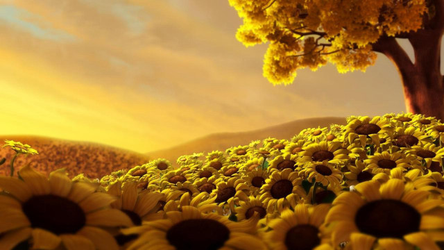 Sunflower field tree sunset clouds #4 free wallpaper for desktop - medium preview image