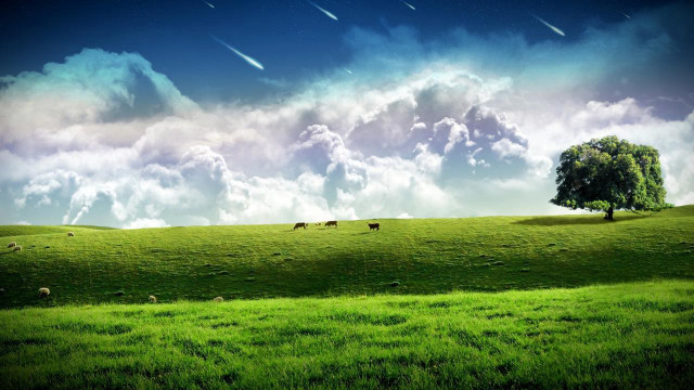 Green field tree clouds stars free wallpaper for desktop - medium preview image
