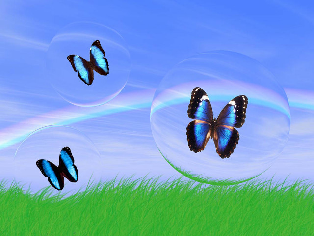 Butterflies green field rainbow bubbles free wallpaper for desktop - medium preview image