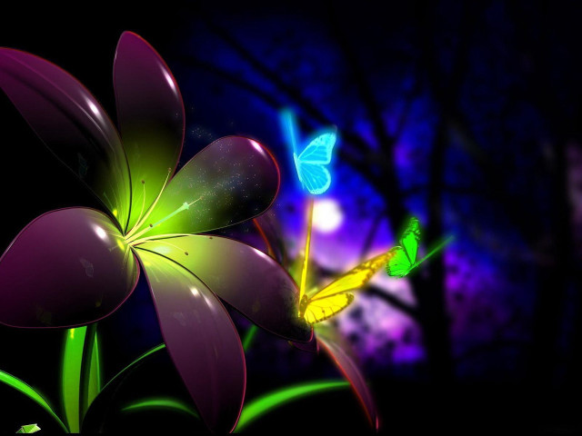 Flower butterfly night sky background free wallpaper for desktop - medium preview image