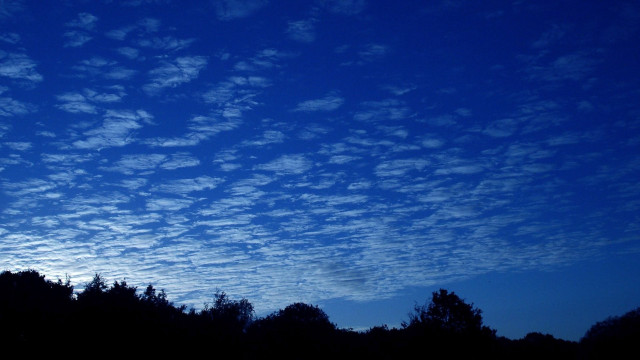 Blue sky clouds trees foreground #9 free wallpaper for desktop - medium preview image