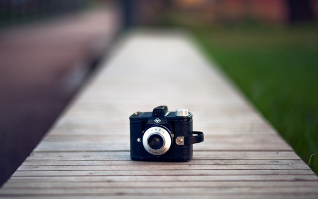 Camera wooden walkway grass park free wallpaper for desktop - medium preview image