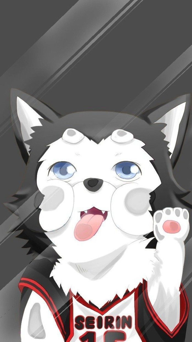 Cat jersey basketball jersey sporty free wallpaper for mobile - medium preview image