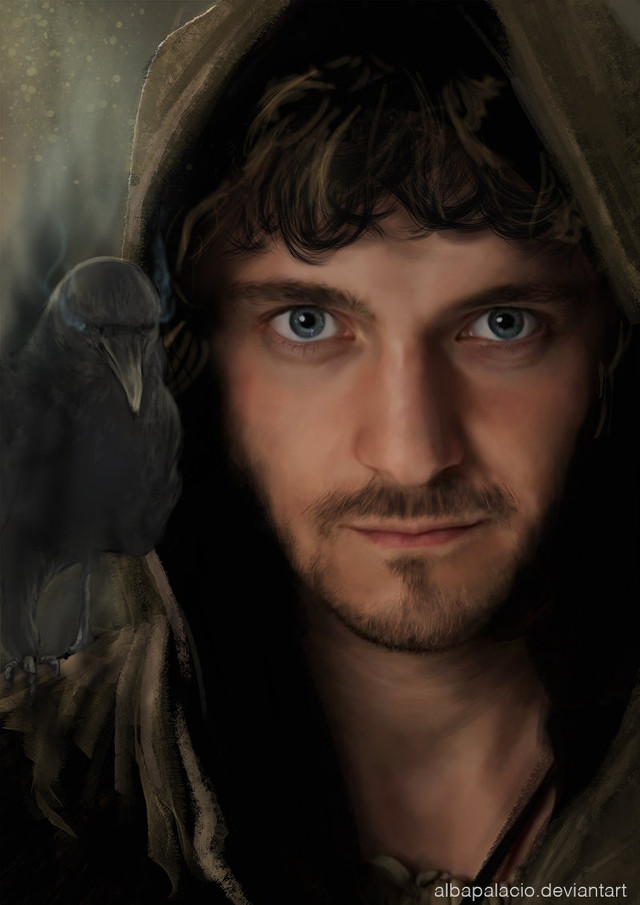 Man hoodie bird shoulder serious free wallpaper for mobile - medium preview image