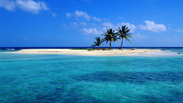 Small island palm tree ocean free wallpaper for desktop - medium preview image