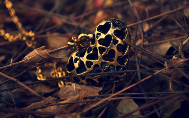 Heart shaped object leaves twigs free wallpaper for desktop - medium preview image