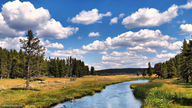 River lush forest blue sky free wallpaper for desktop - medium preview image