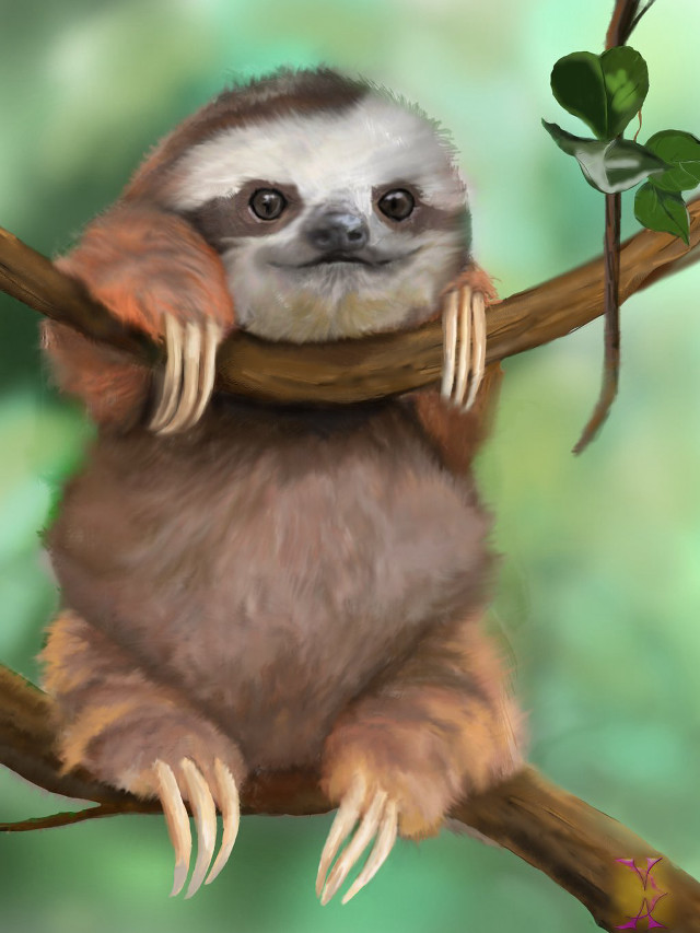 Sloth sitting branch leaf mouth free wallpaper for mobile - medium preview image