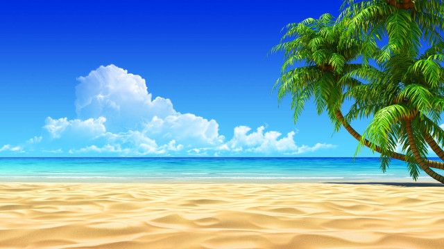 Palm tree sandy beach blue #5 free wallpaper for desktop - medium preview image