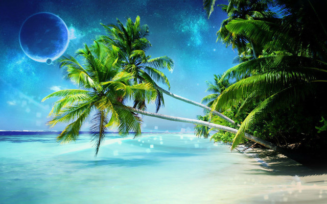 Tropical beach palm trees moon free wallpaper for desktop - medium preview image