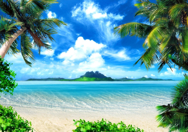 Tropical beach palm mountains blue free wallpaper for desktop - medium preview image