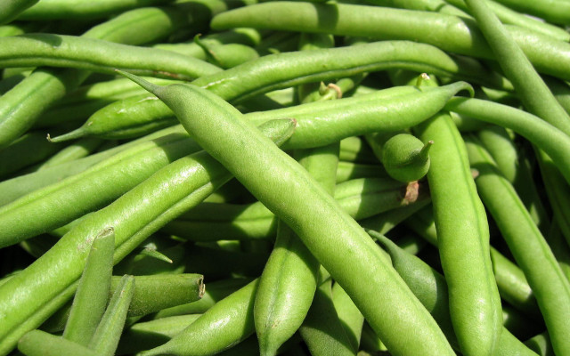 Green beans pile long vegetables free wallpaper for desktop - medium preview image
