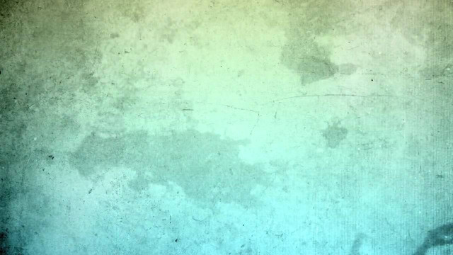 Grungy wall black cat black free wallpaper for desktop - medium preview image