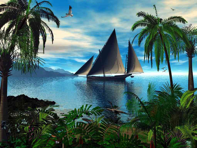 Sailboat water palm trees bird free wallpaper for desktop - medium preview image