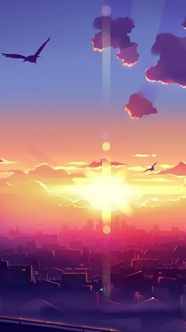 Sunset plane bird city flying free wallpaper for mobile - medium preview image