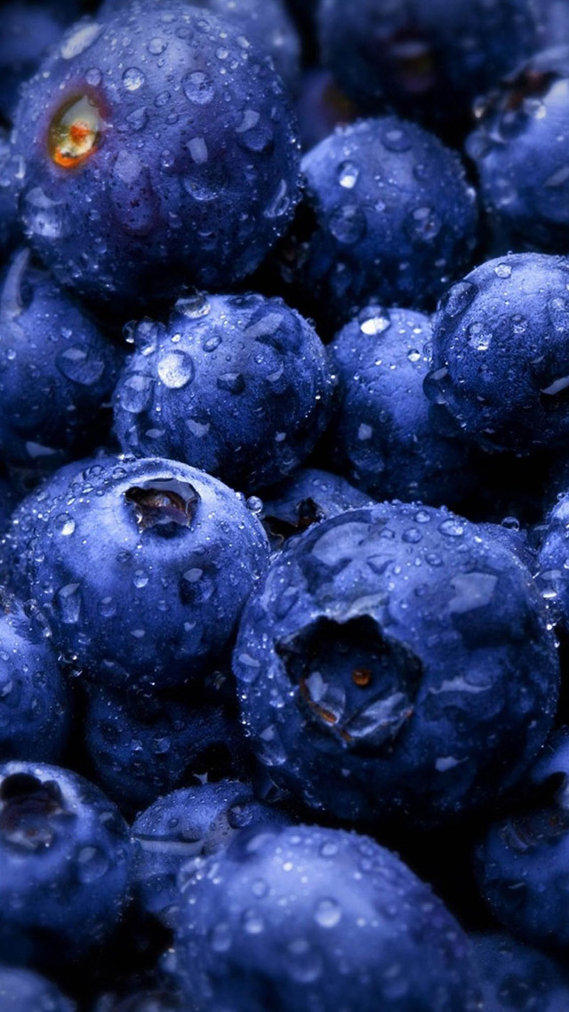 Blueberries waterdroplets yelloweye macro bubble free wallpaper for mobile - medium preview image