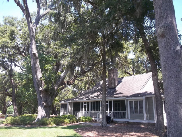 House trees car road sideview free wallpaper for desktop - medium preview image