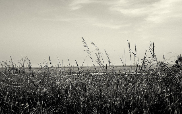 Black white field grass lighthouse free wallpaper for desktop - medium preview image