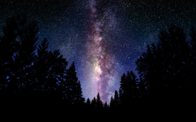Night sky stars trees foreground #3 free wallpaper for desktop - medium preview image