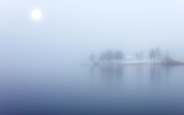 Foggy lake small island trees free wallpaper for desktop - medium preview image