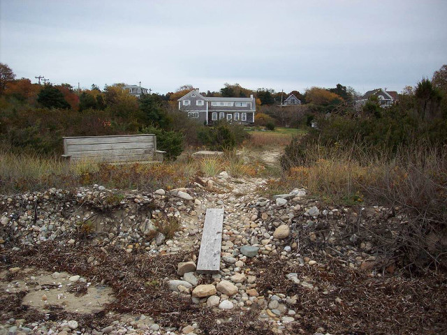 Bench rocky field forest trees free wallpaper for desktop - medium preview image