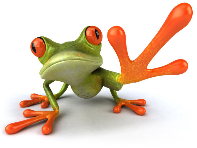 Frog orange eyes red tail free wallpaper for desktop - medium preview image