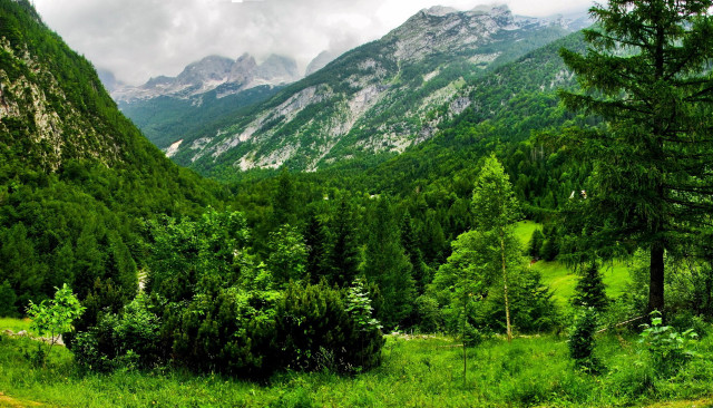 Lush green forest mountains cloudy free wallpaper for desktop - medium preview image