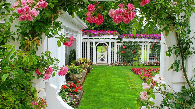 Garden fence roses lawn gate free wallpaper for desktop - medium preview image