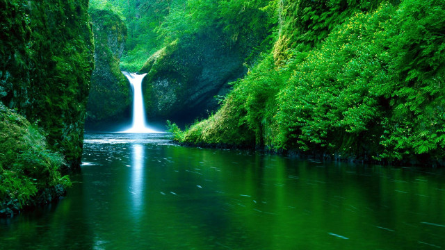 Waterfall green forest stream nature #9 free wallpaper for desktop - medium preview image
