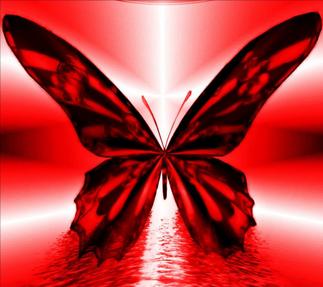 Red butterfly gothic blood flag free wallpaper for tablet - medium preview image