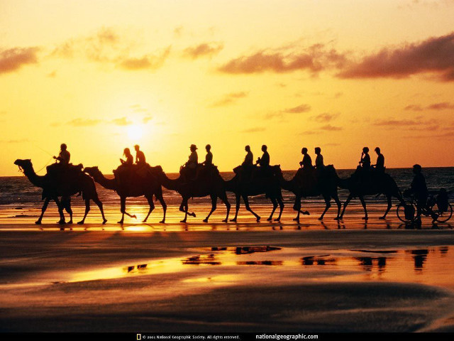 Beach sunset horseback riders silhouette free wallpaper for desktop - medium preview image