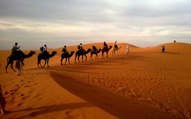 Camel ride desert group people free wallpaper for desktop - medium preview image
