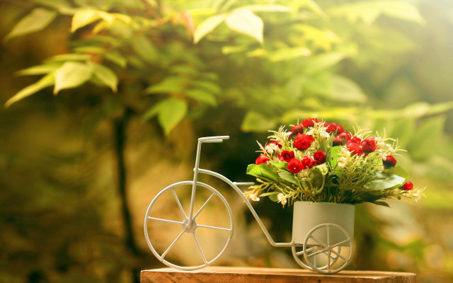 Flower pot bike decoration garden free wallpaper for desktop - medium preview image