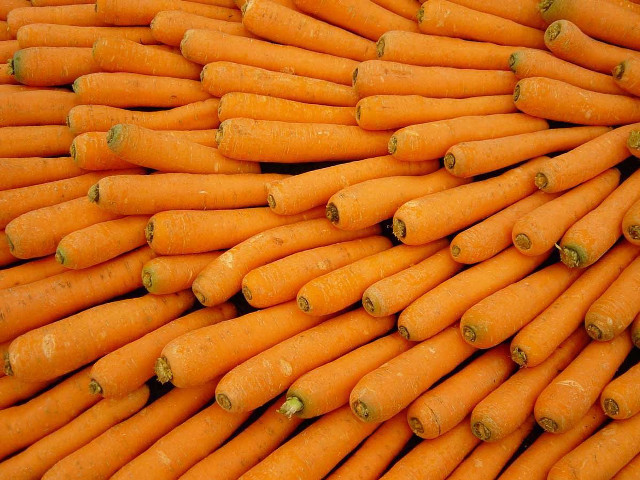 Carrots pile table top green free wallpaper for desktop - medium preview image
