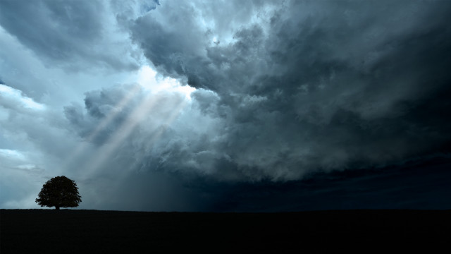 Tree field cloudy sky beam free wallpaper for desktop - medium preview image