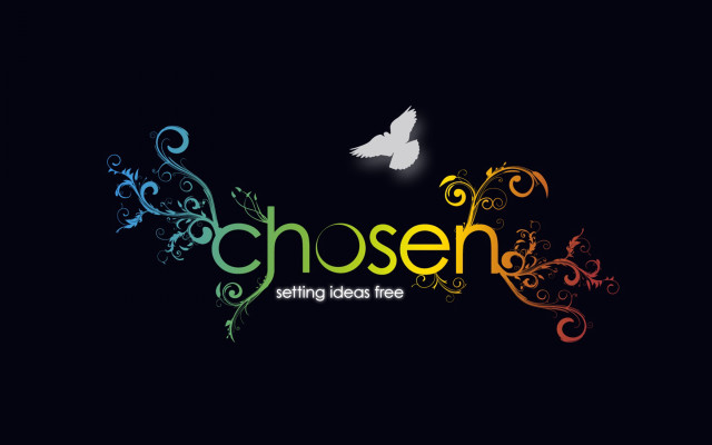 Colorful bird logo flying black free wallpaper for desktop - medium preview image