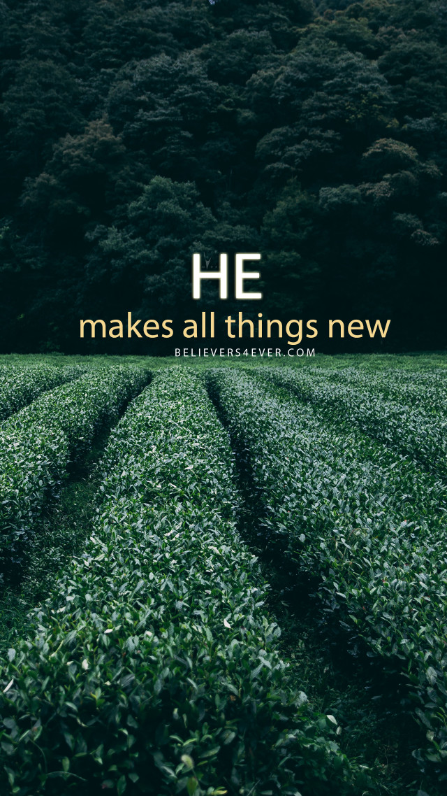 Field grass quote he makes free wallpaper for mobile - medium preview image