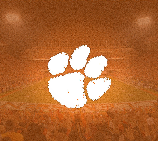 Stadium crowd white bear paw free wallpaper for tablet - medium preview image