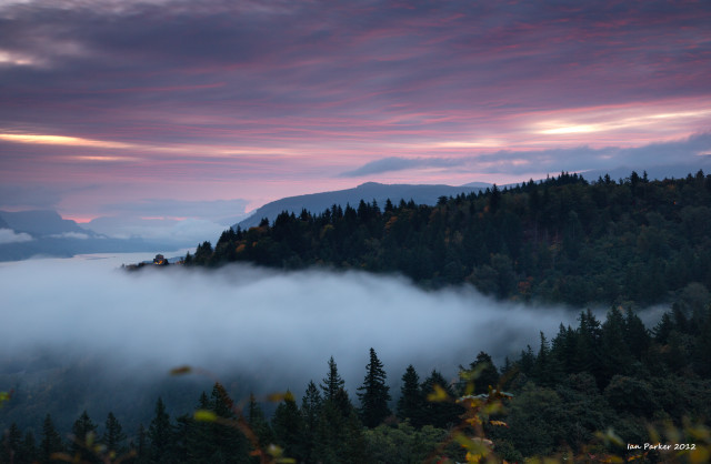 Mountain fog clouds trees pink free wallpaper for desktop - medium preview image